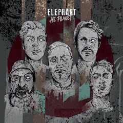 Elephant!