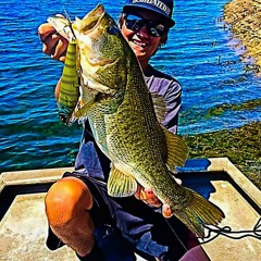 New private playlist