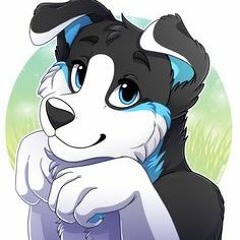 Lane the husky