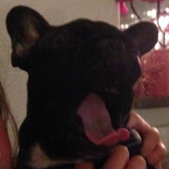 Frenchie Death Yodel