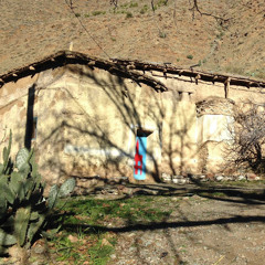 arazi