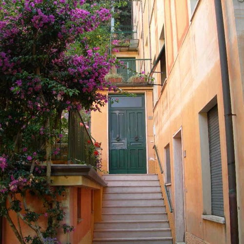 House 2005