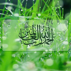 ahmed khamis
