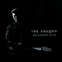 Ray Vaughn Rayosomusic