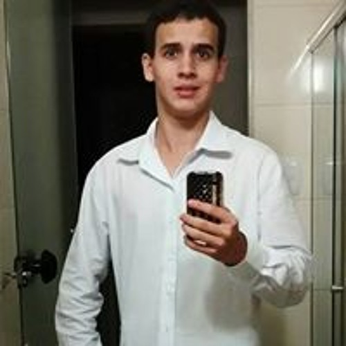 Luiz Henrique Werneck’s avatar
