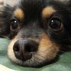 kotaro