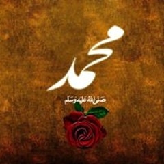 Abdelrahman Safwat
