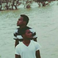 shar8i
