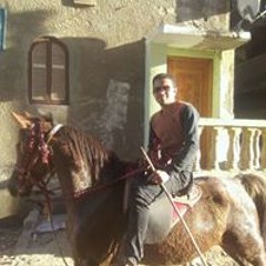البنداري محمودحماد