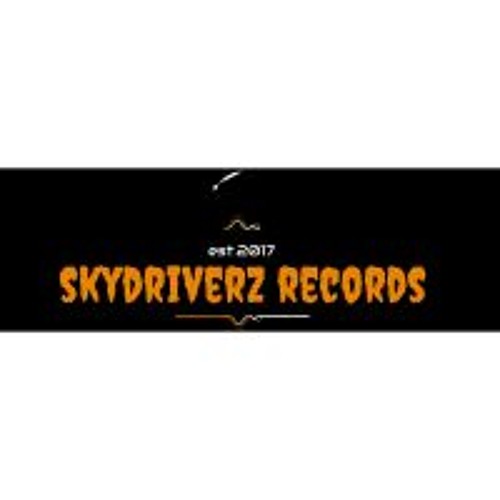 SKYDRIVERZ RECORDS’s avatar