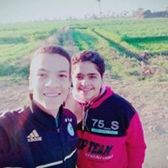 M.alkodaby