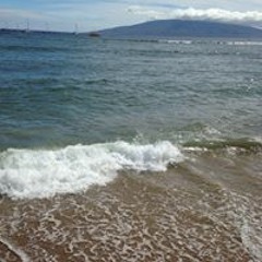 Katrina Warren-Hogan