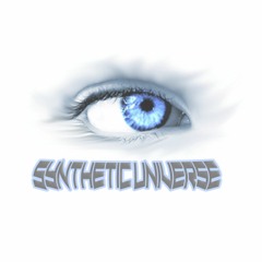 synthetic universe