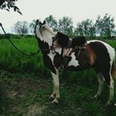 Daviid Almendra