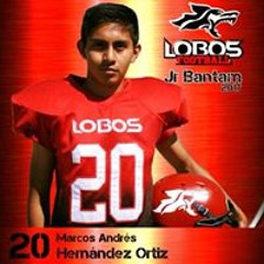 Marcos Andres
