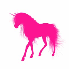 Pink Unicorn Records