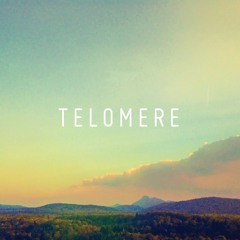 TELOMERE