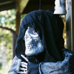 Garden, Pale Morning