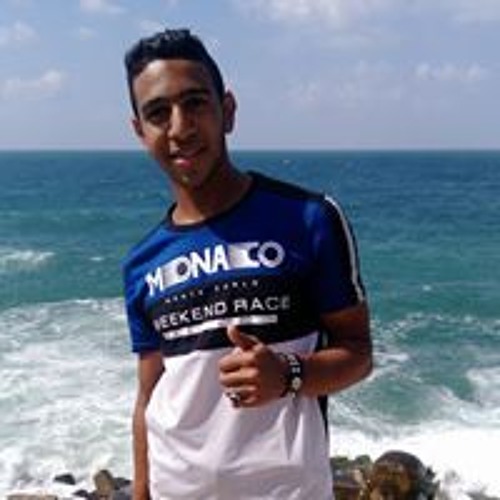 Mahmood Shoeib’s avatar
