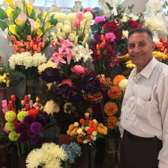 Youstena Ezzat Meshreki