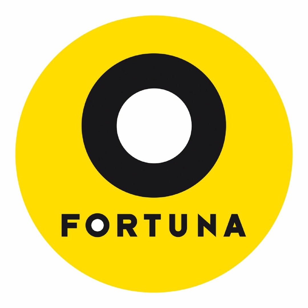 https://efortunapl.com.pl/