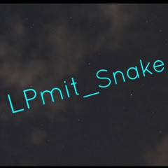 LPmit Snake