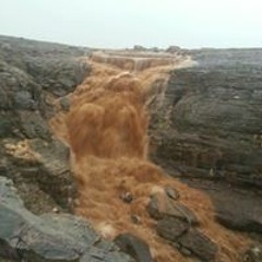 عبدالملك الضايع