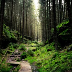 QUERNHEIMBEATS