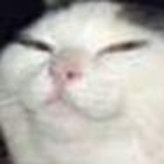 smoof