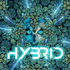 Hybrid