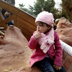 Salwa Nageb