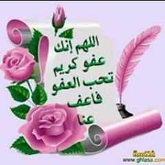 bosy