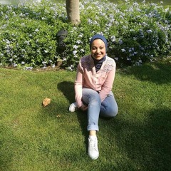 Rowan Mahmoud