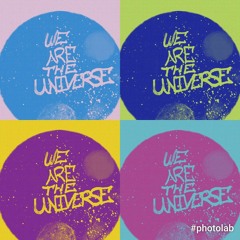 We Are The Universe