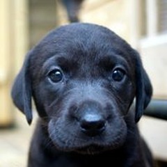 Никита Битков