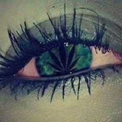 Çhïķý Ķëļľy Țž