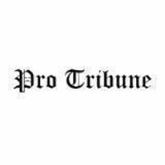 Pro Tribune