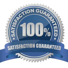 the seo company
