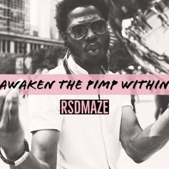RSDMaze Awaken The Pimp Within
