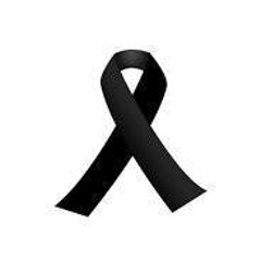 Nery Carvajal Stoltz