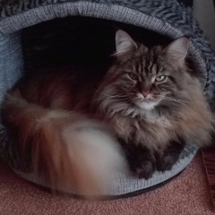 mickycharly