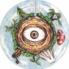 Chance Encounter