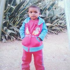Mulie Nuguse