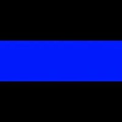 Michele Flynn-Zamiar