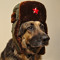 Soviet Jop