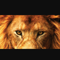 Israelite Israel