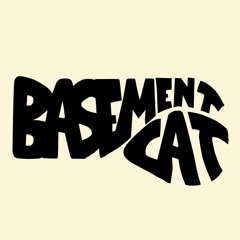 Basement Cat