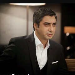 أسد وادي الذئاب