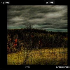 Dark666Forest