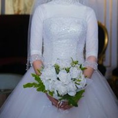 Engy Mohamed